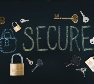 Professionnel Hacking et cybersécurité