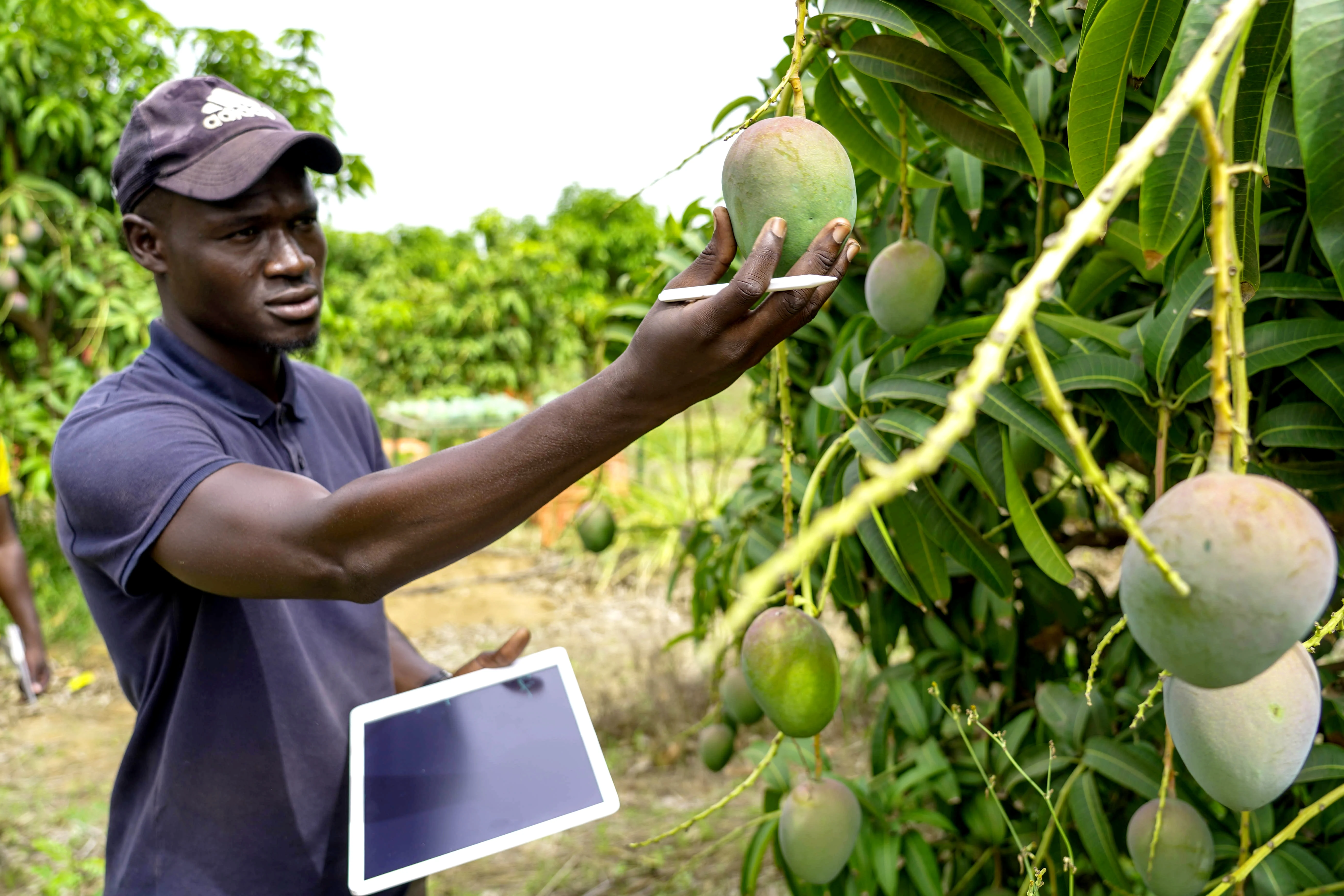 Agritech